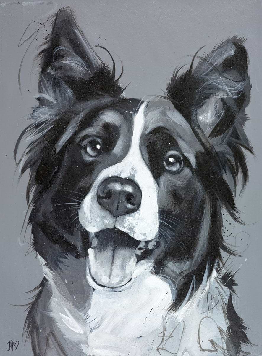 Diamonds Are A Collie's Best Friend