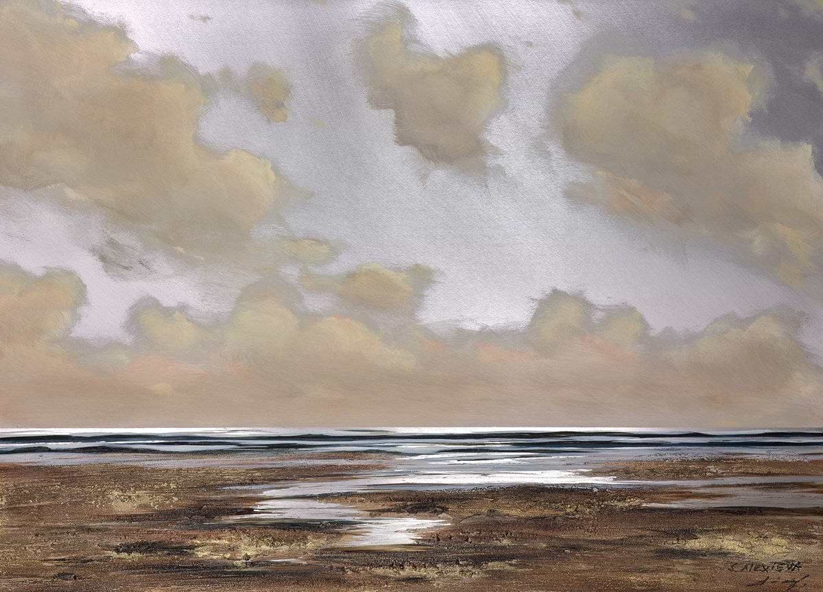 Luminous Coast