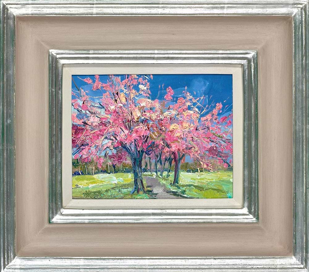 Blue Sky and Cherry Blossoms