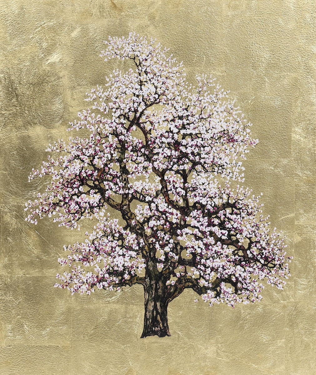 Debbie Halliday Gold Blossom Buds 額装アート Debbie Halliday Gold Blossom Buds 額装アート Debbie Halliday Gold