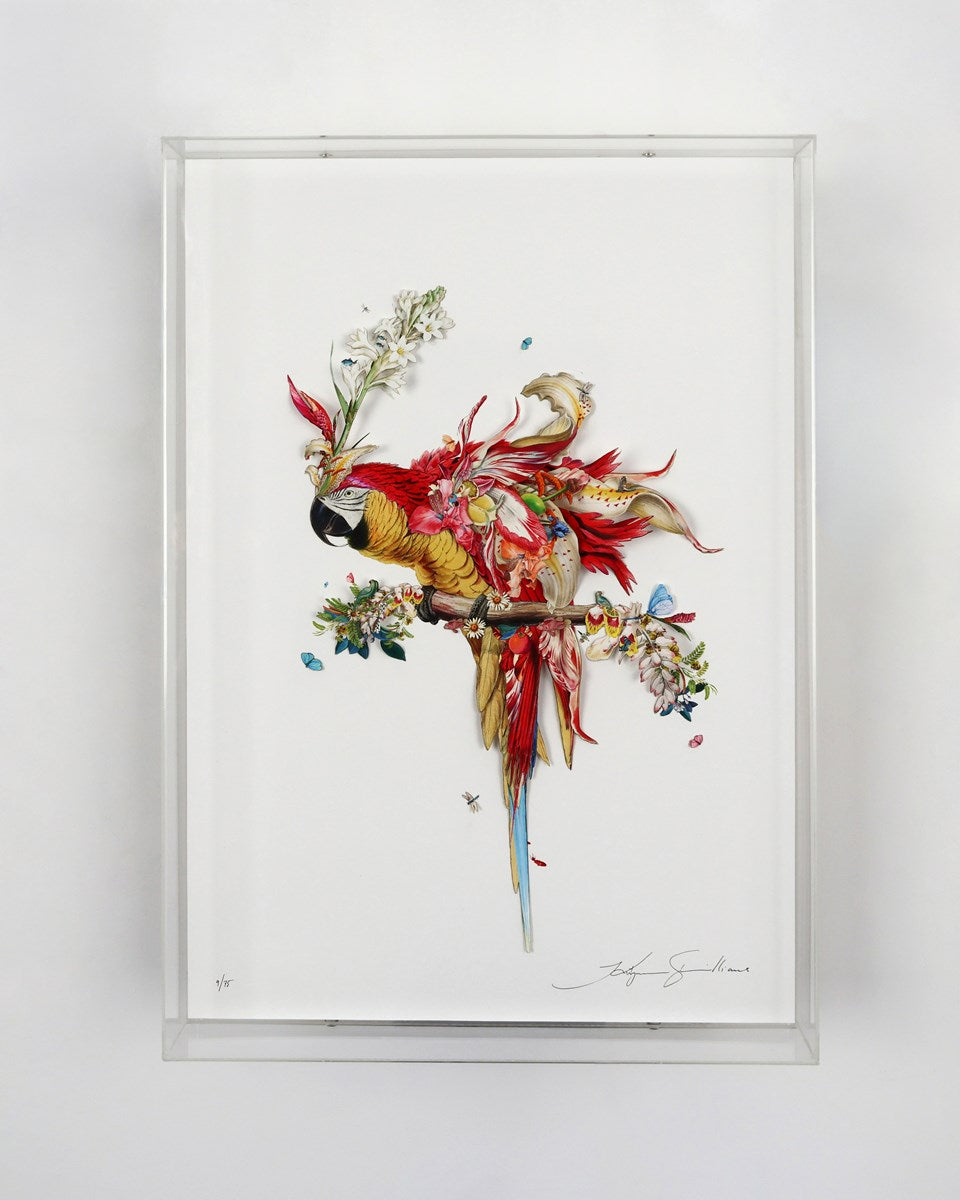 Botanical Harry Gin Bird II