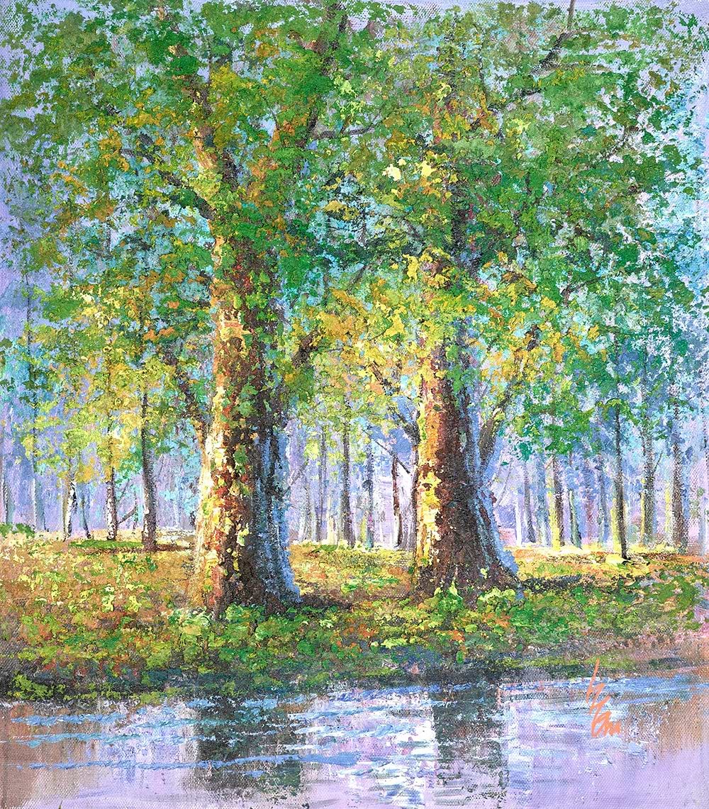 Silence in the Forest III