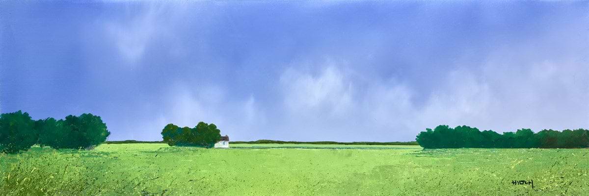 Between Fields & Sky
