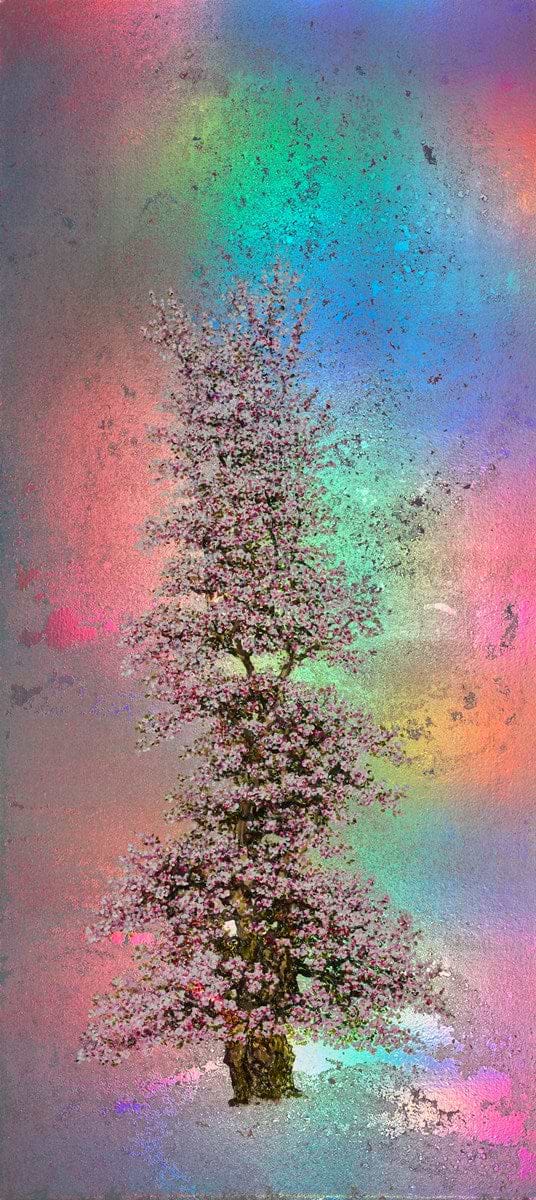 Penelope, Rainbow Blossom