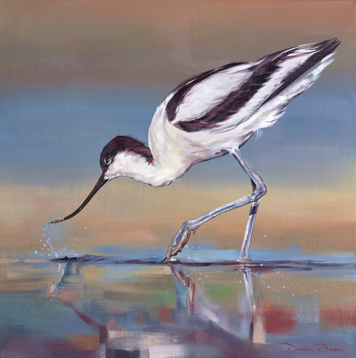 Avocet