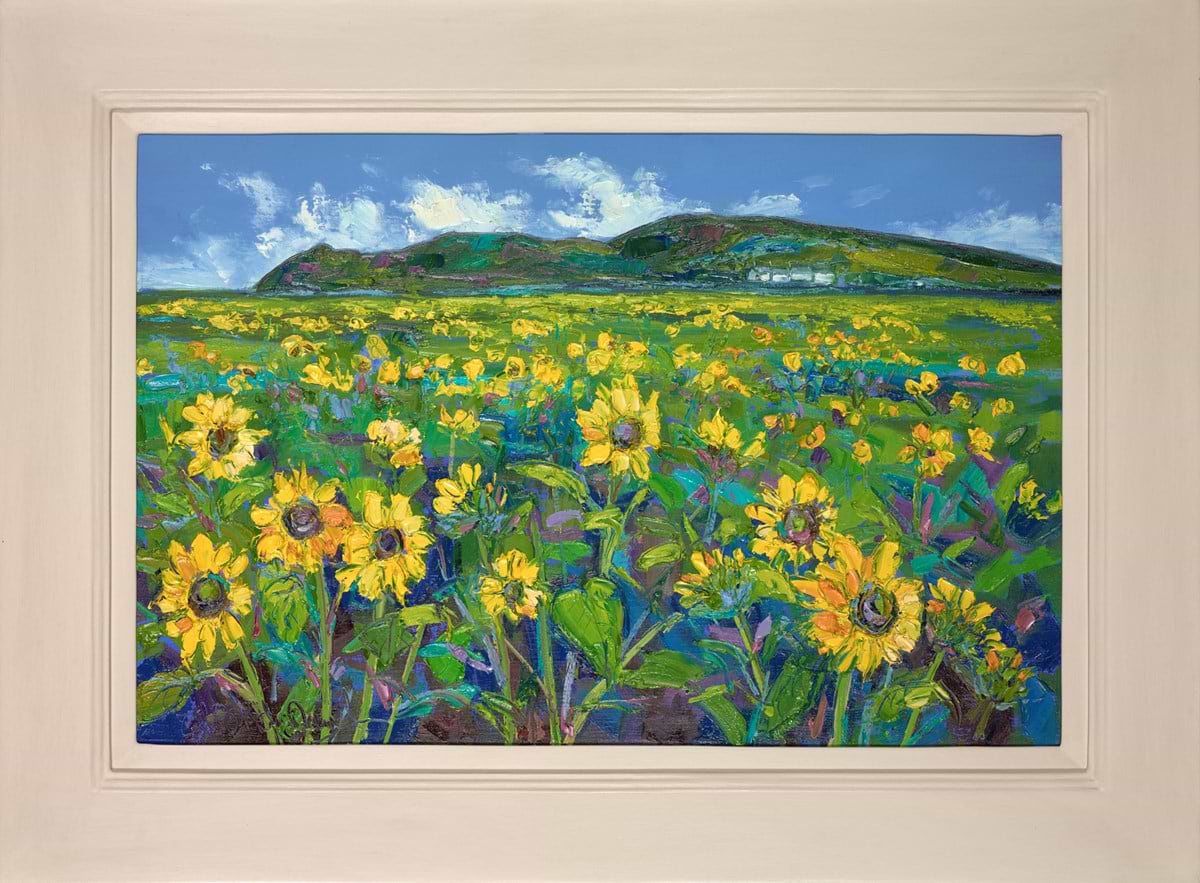 Sunflowers at Rhossili , Gower Peninsula