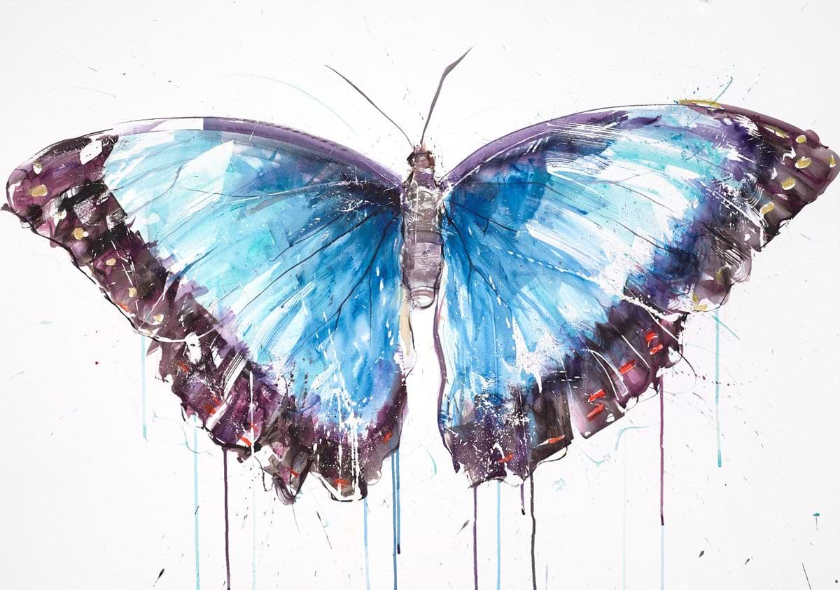 Morpho Butterfly II
