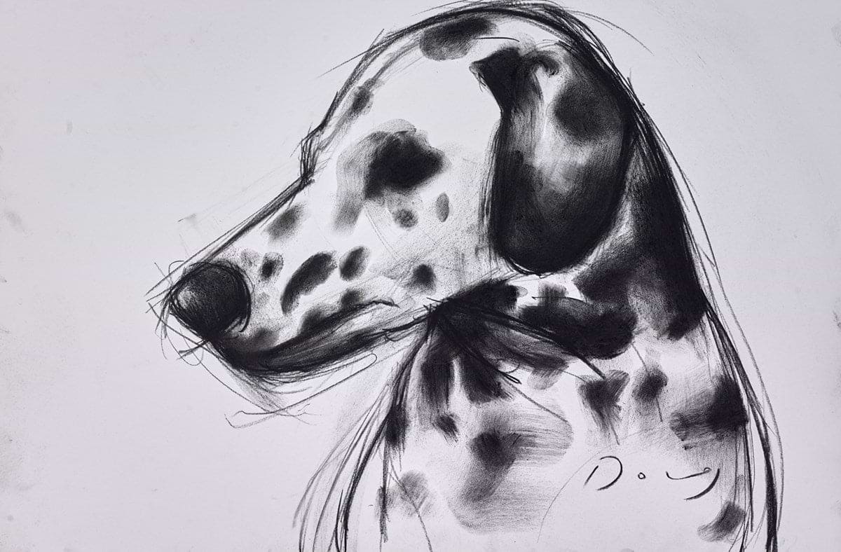 The Dalmation