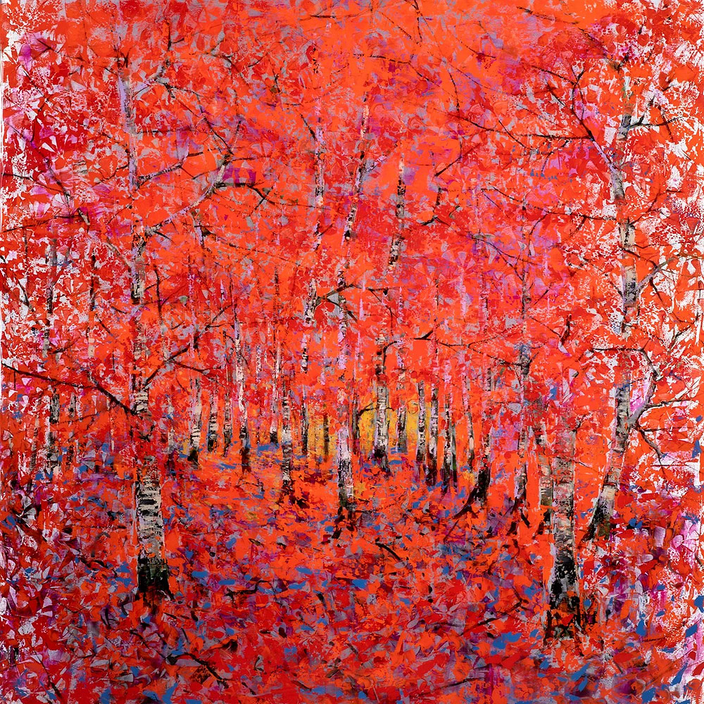 Through The Dark Birches