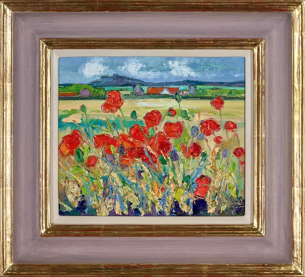 Poppies in Wheatfield,Longniddry