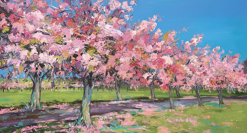 Sun on Cherry Trees