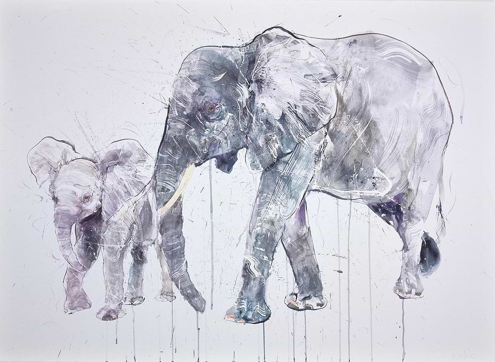 Elephant and Calf