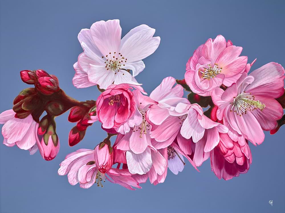 Blossoms