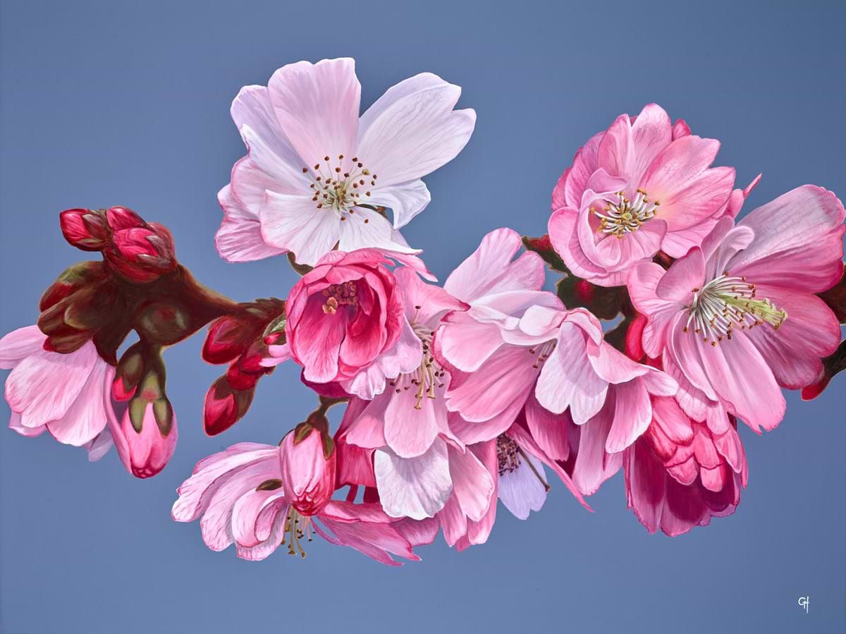 Blossoms