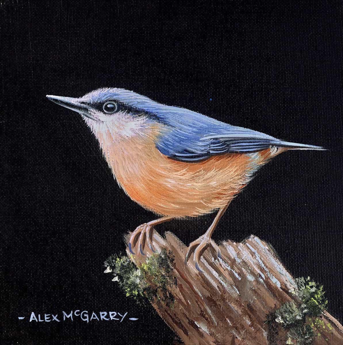 Nuthatch