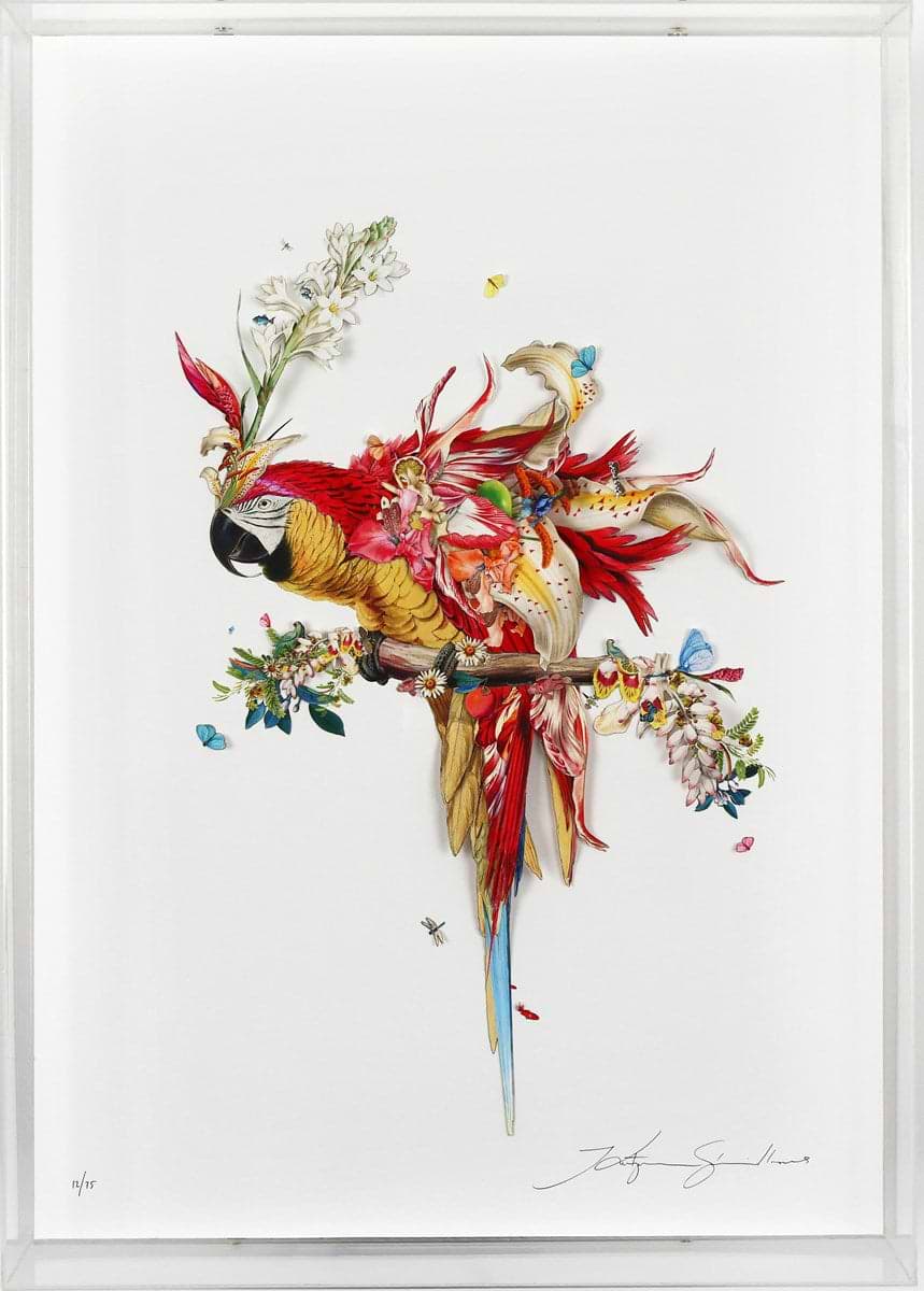 Botanical Harry Gin Bird II (Framed)