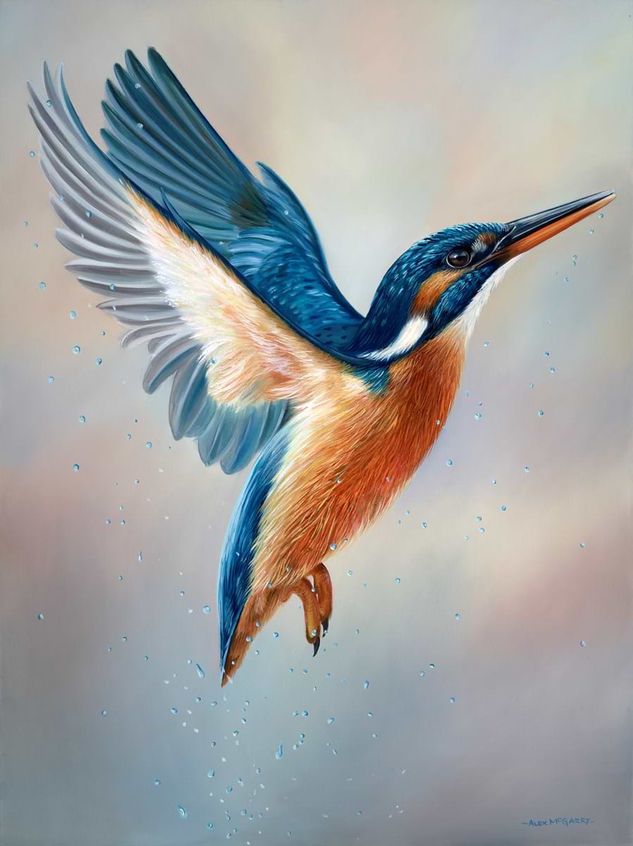 Kingfisher in Flight II