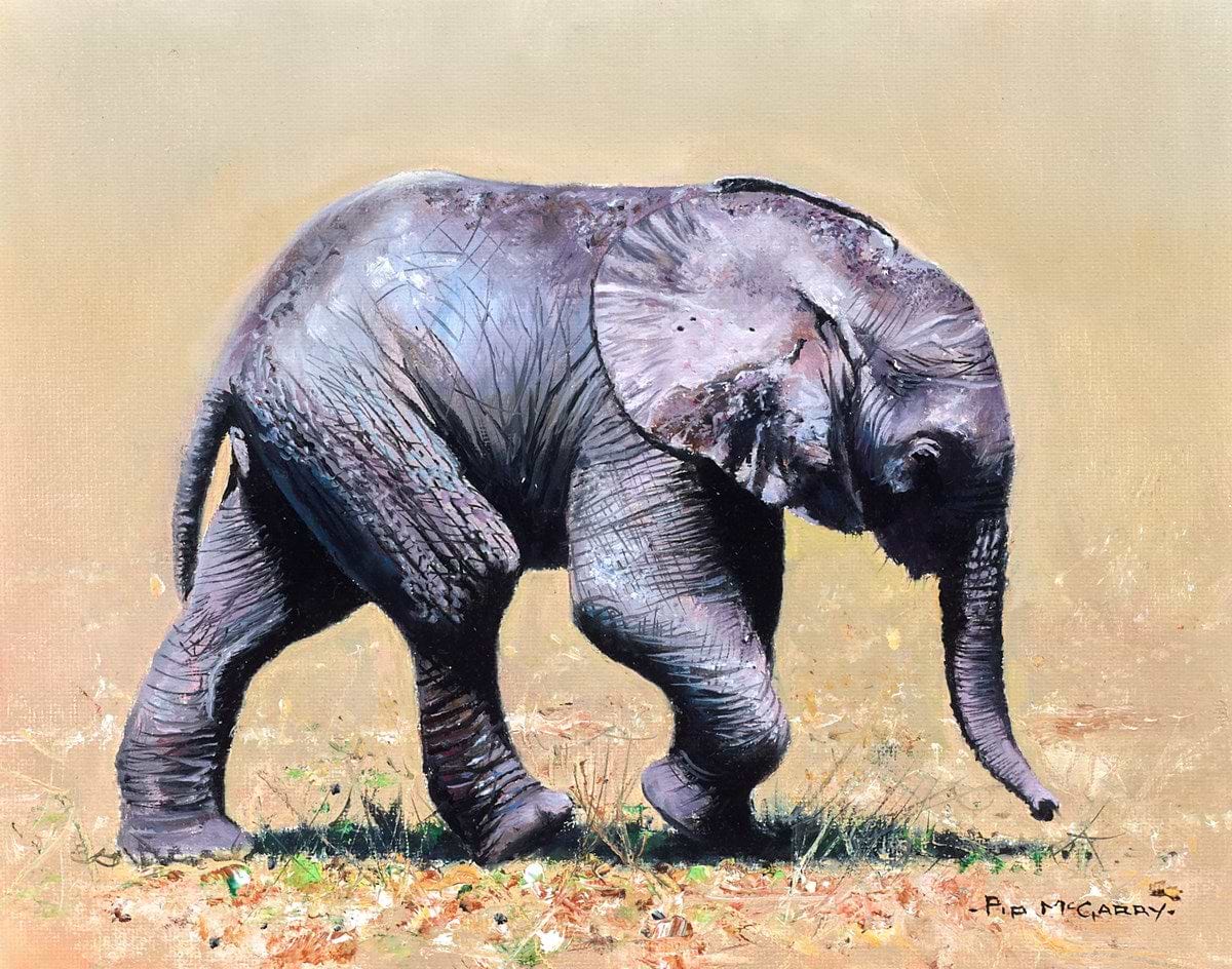Elephant Baby