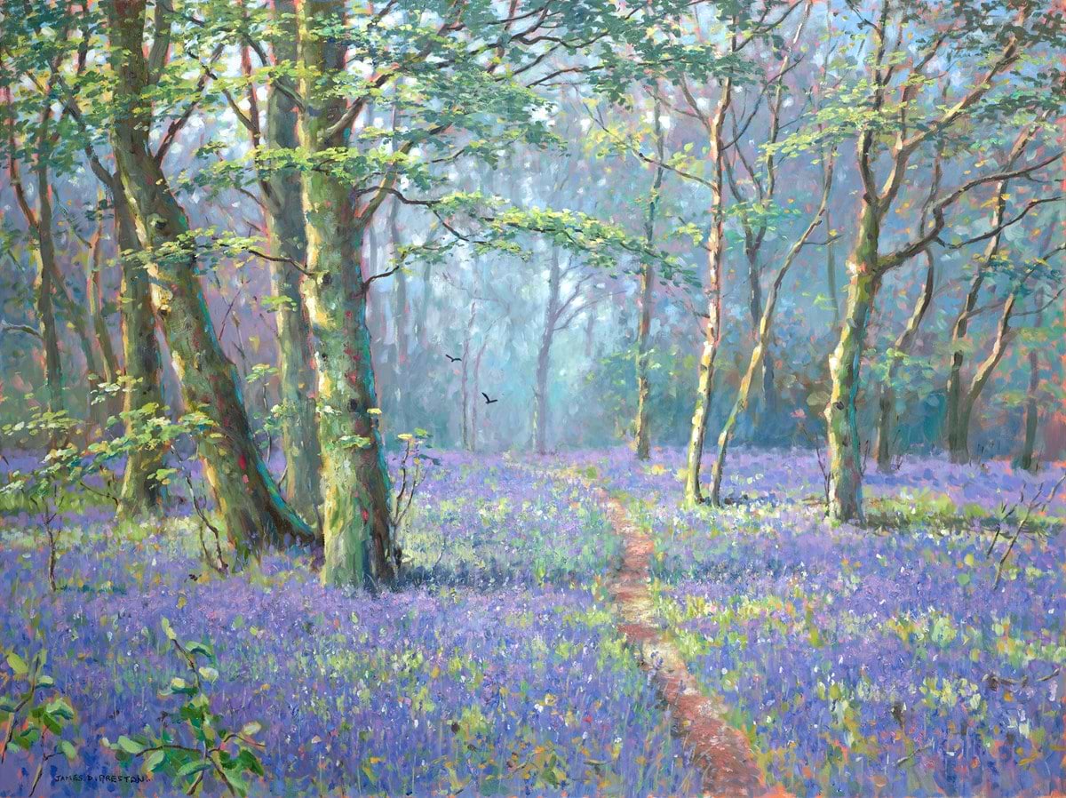 Bluebell Wood