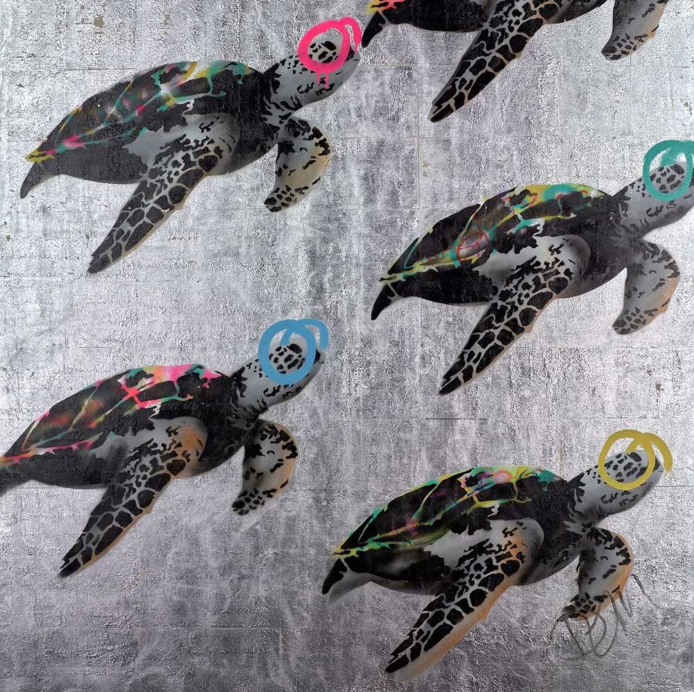 Colourful Turtles