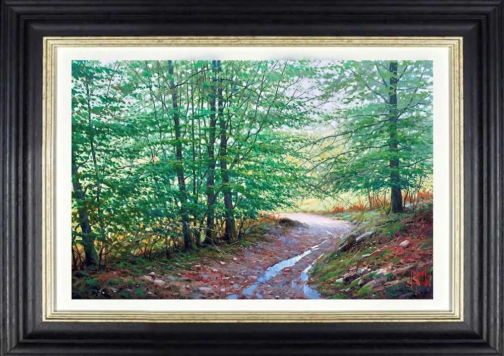 Caminando por el GR11, Transpirenaica (Framed)
