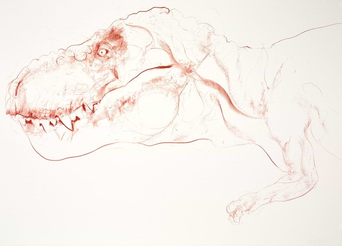 T Rex VIII