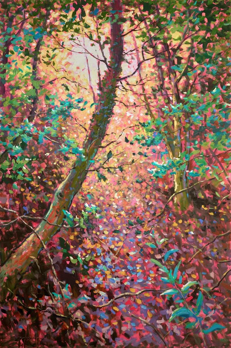 Morning Sun (booths wood)