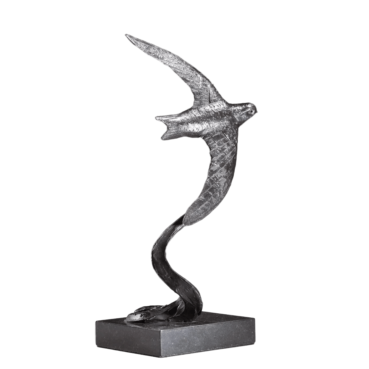Swift Swooping - 2019