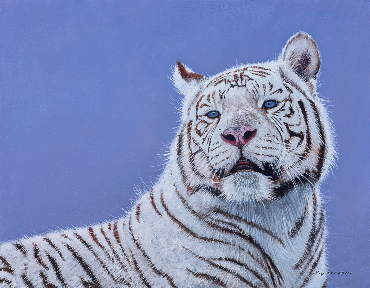 White Tiger Portrait