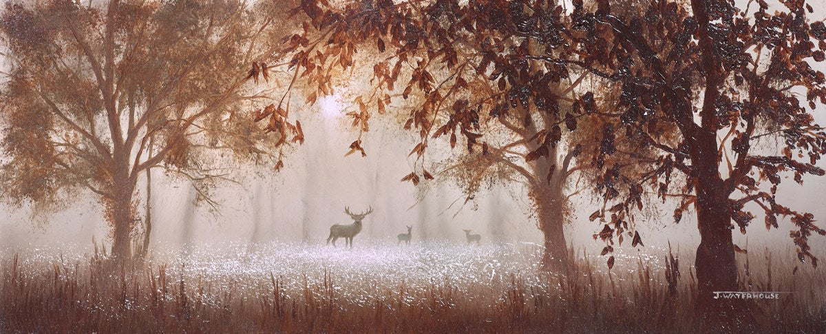 The Fleeting Glimpse