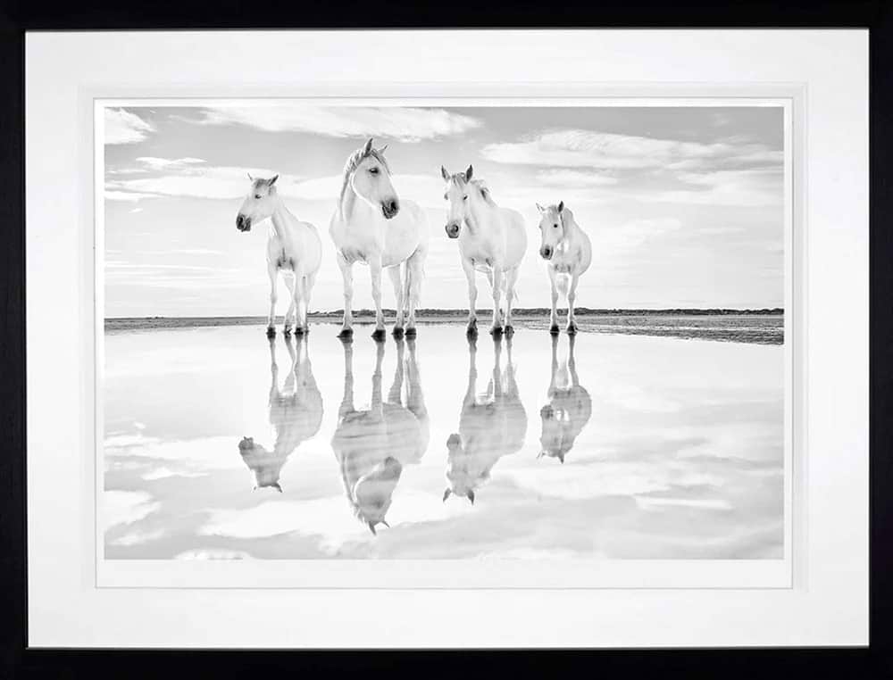 Calm Waters (Framed)