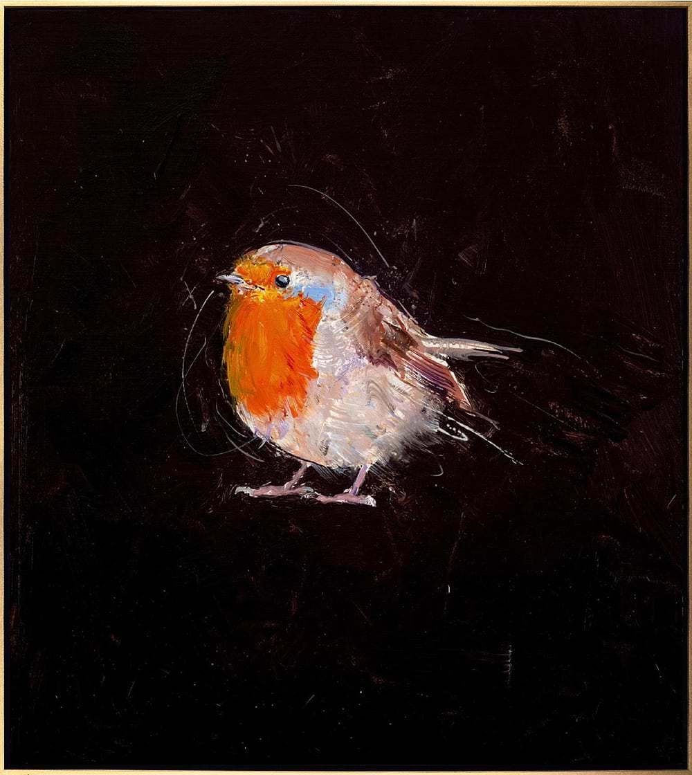 Robin
