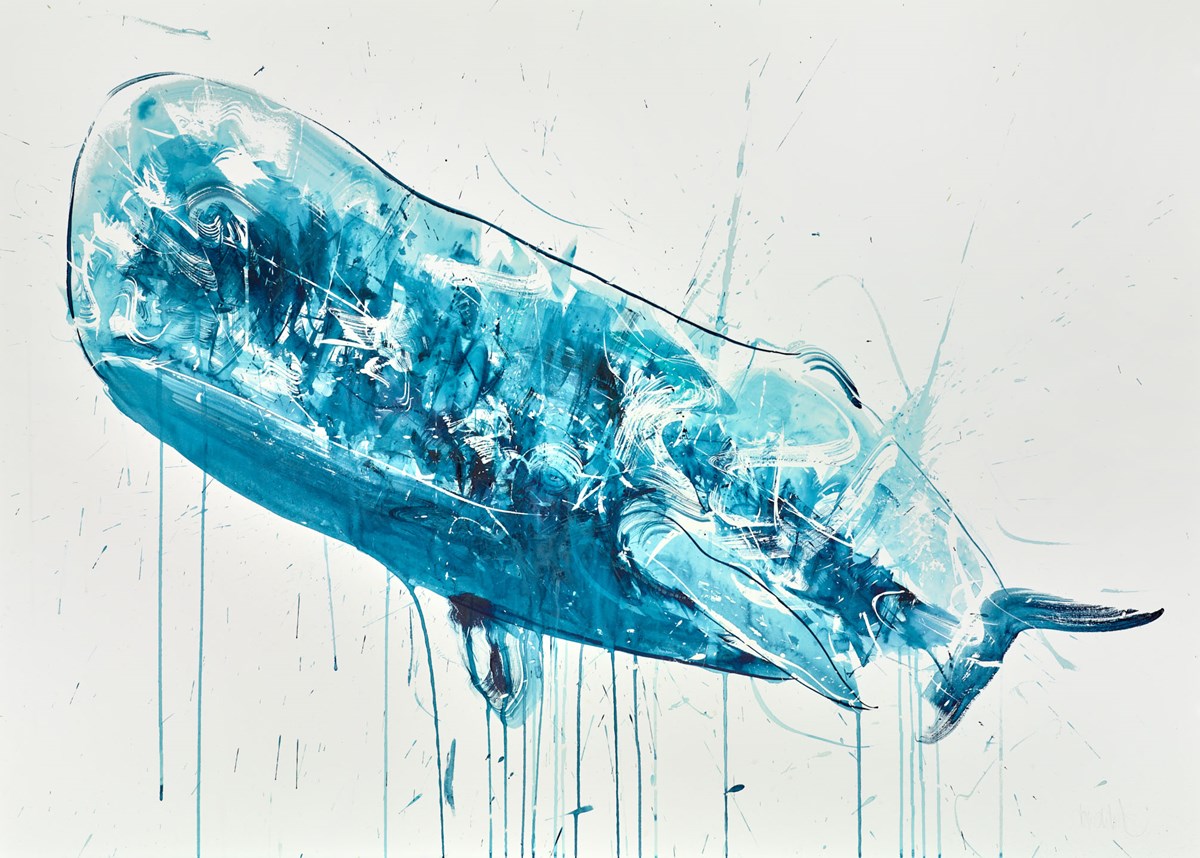 Sperm Whale