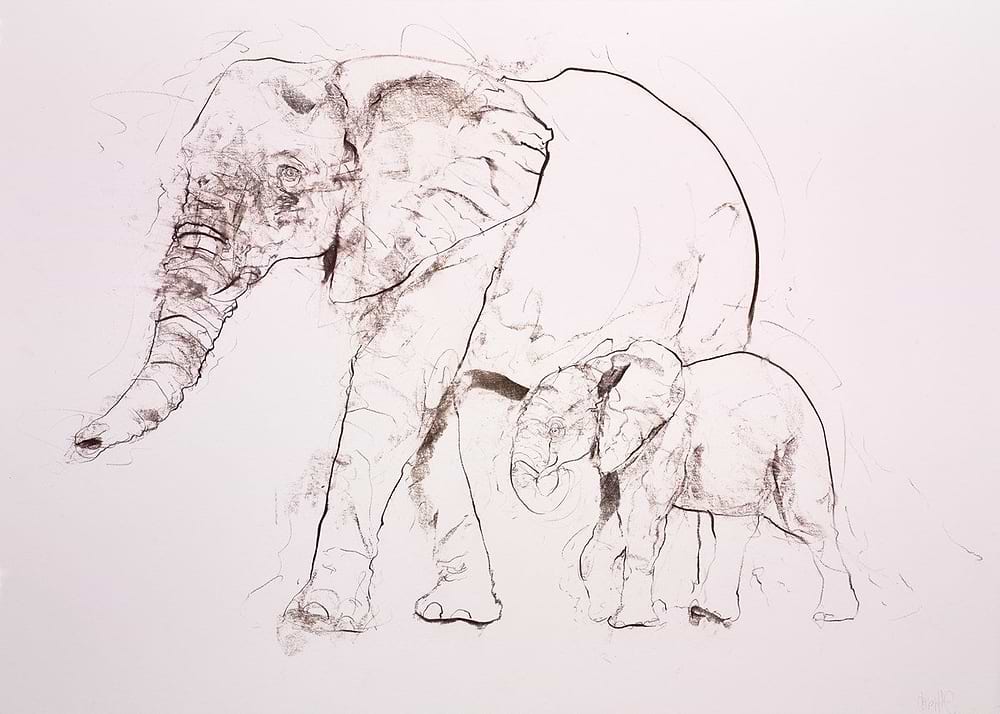 Elephants II