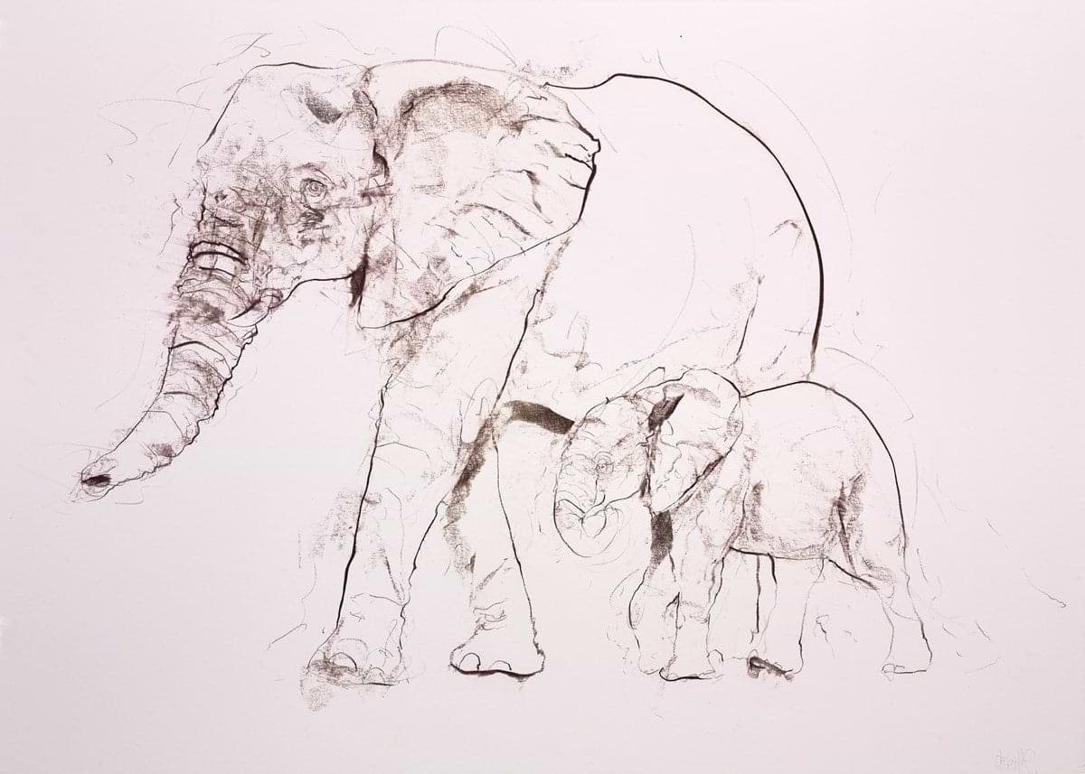 Elephants II