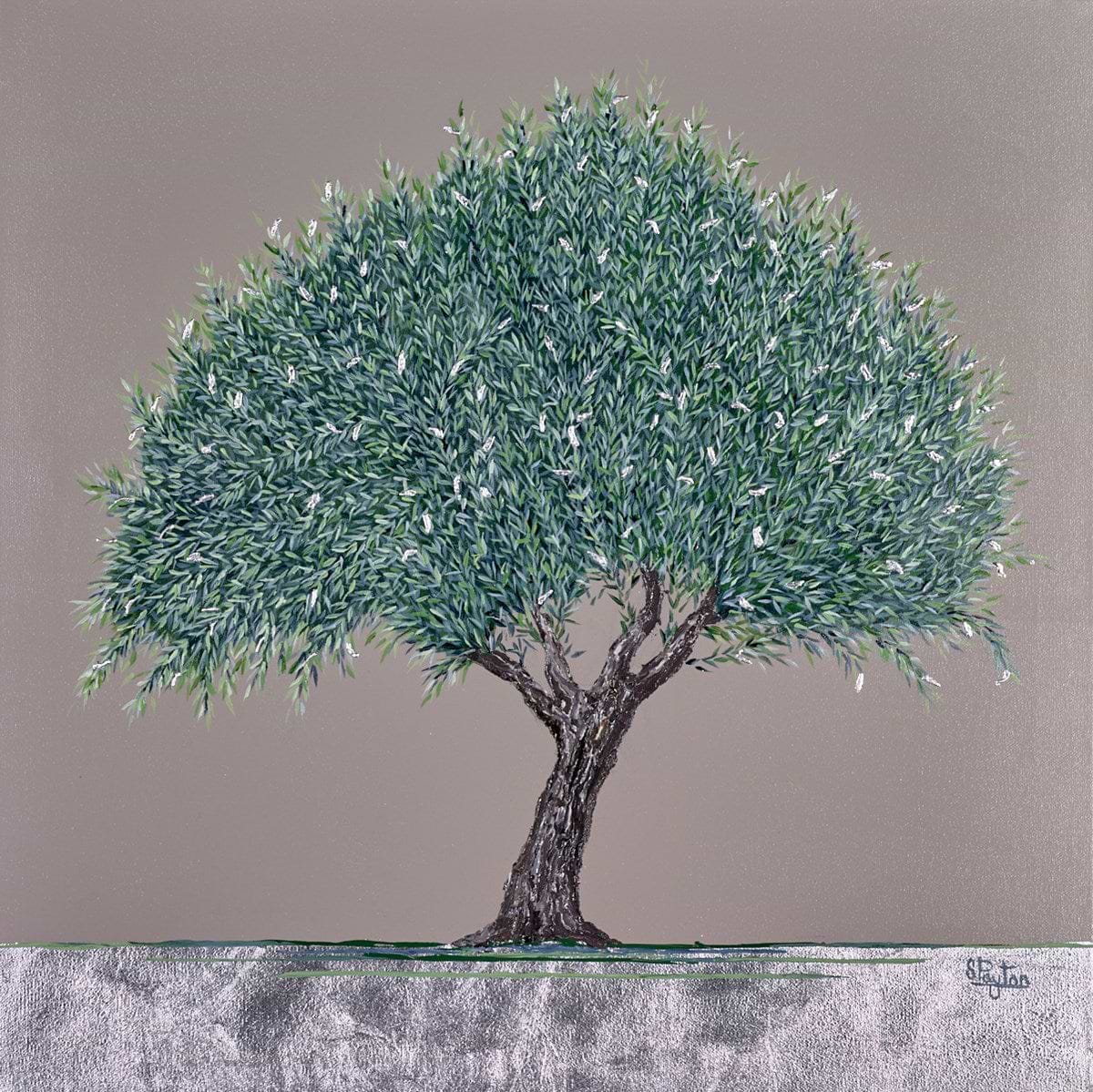 Olive Tree