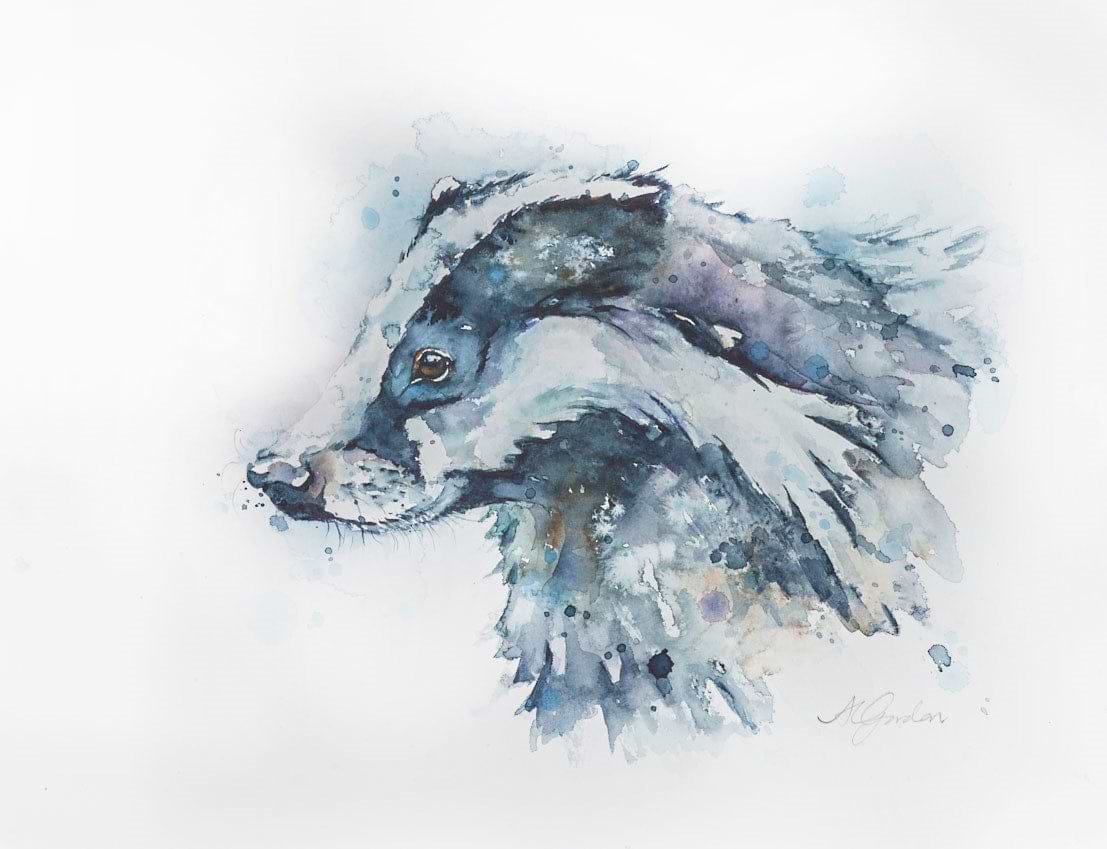 Young Badger Profile