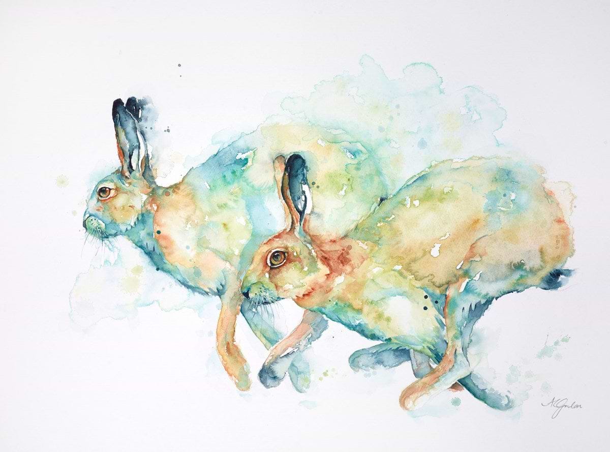 Summer Hares Racing