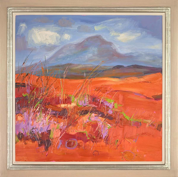 The Red Cuillins , Skye
