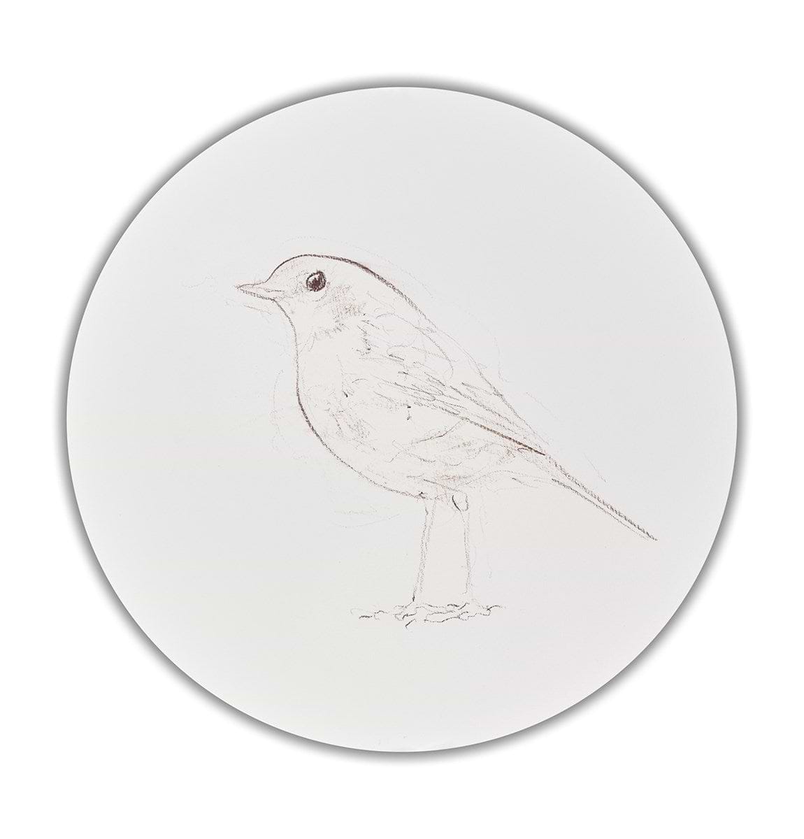 Robin Sketch VIII