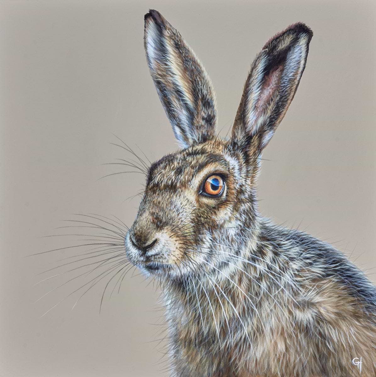 Hare
