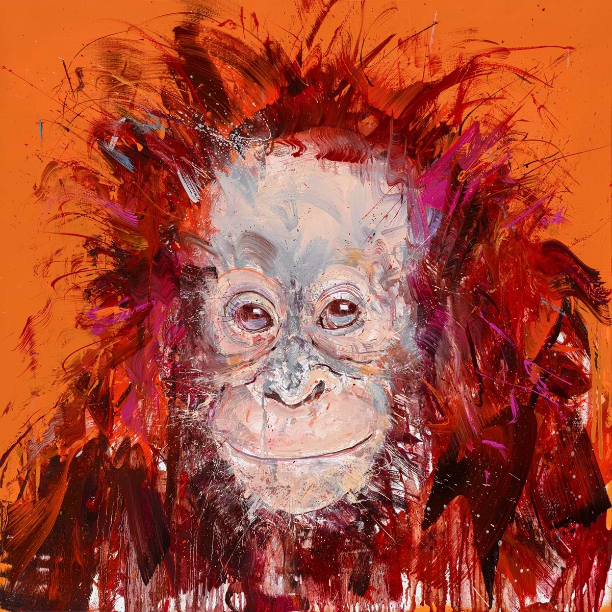 Young Orangutan II