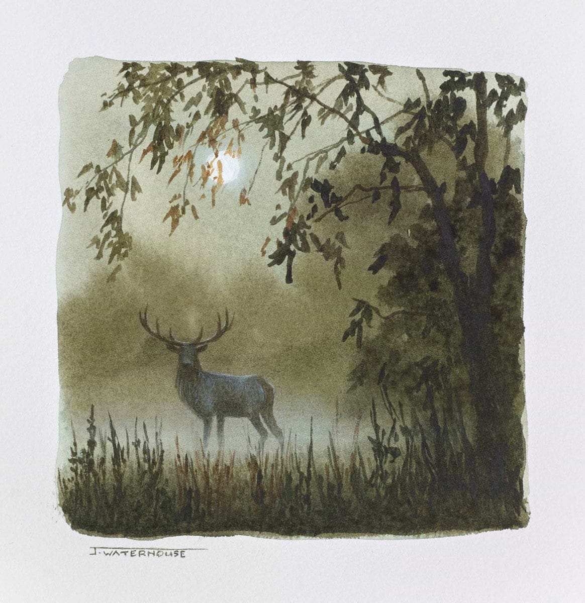 The Close Encounter(study)