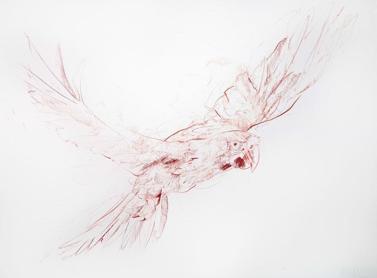 Flight Study II