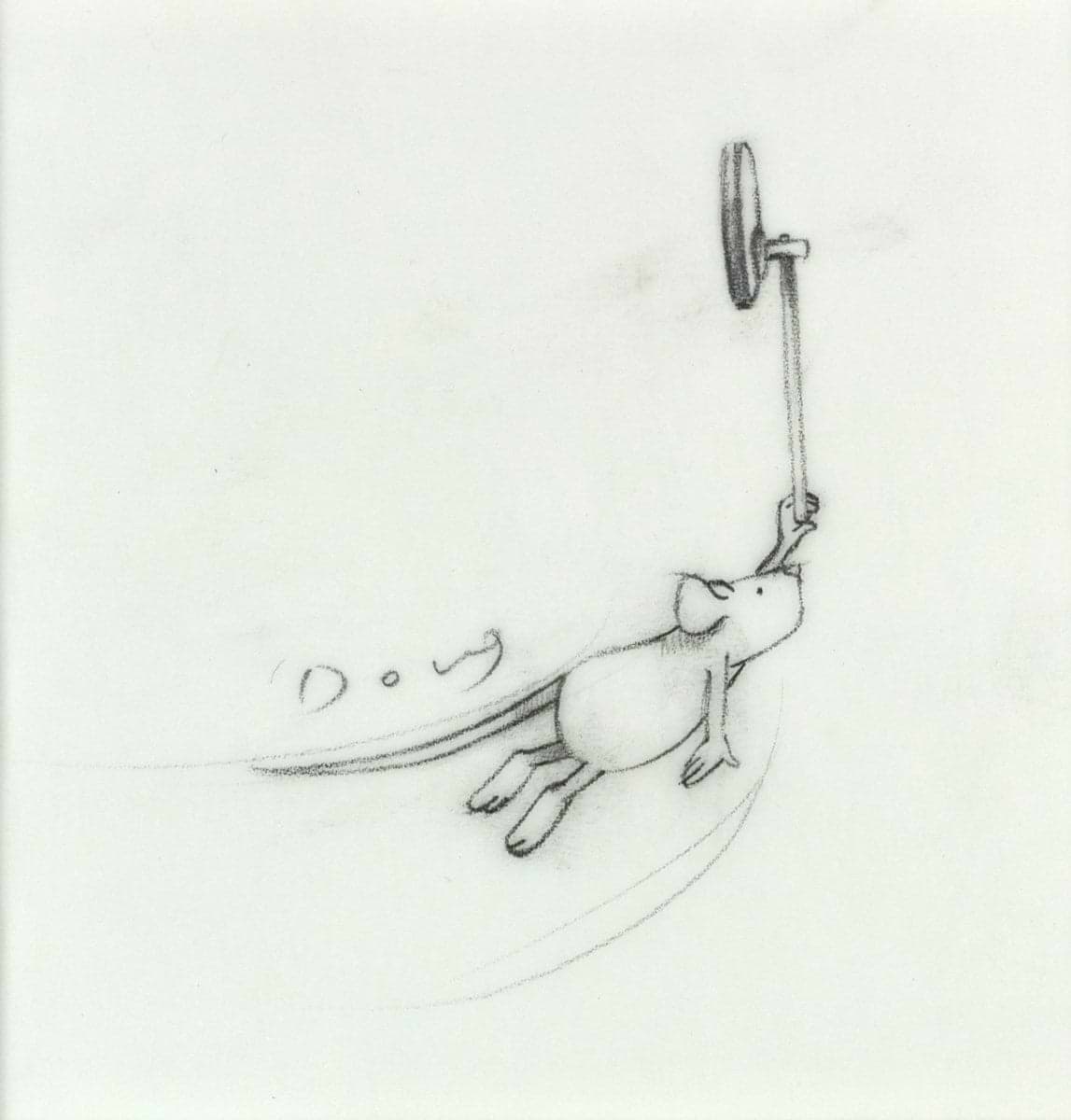 Hitch-Hikers (Study X)