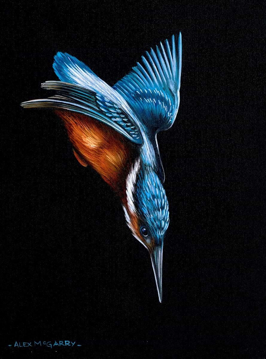 Kingfisher in Flight IV