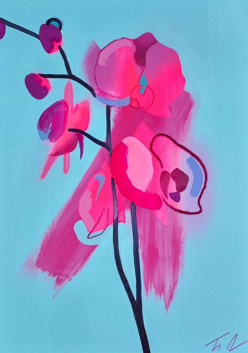 Orchid Blue/Pink