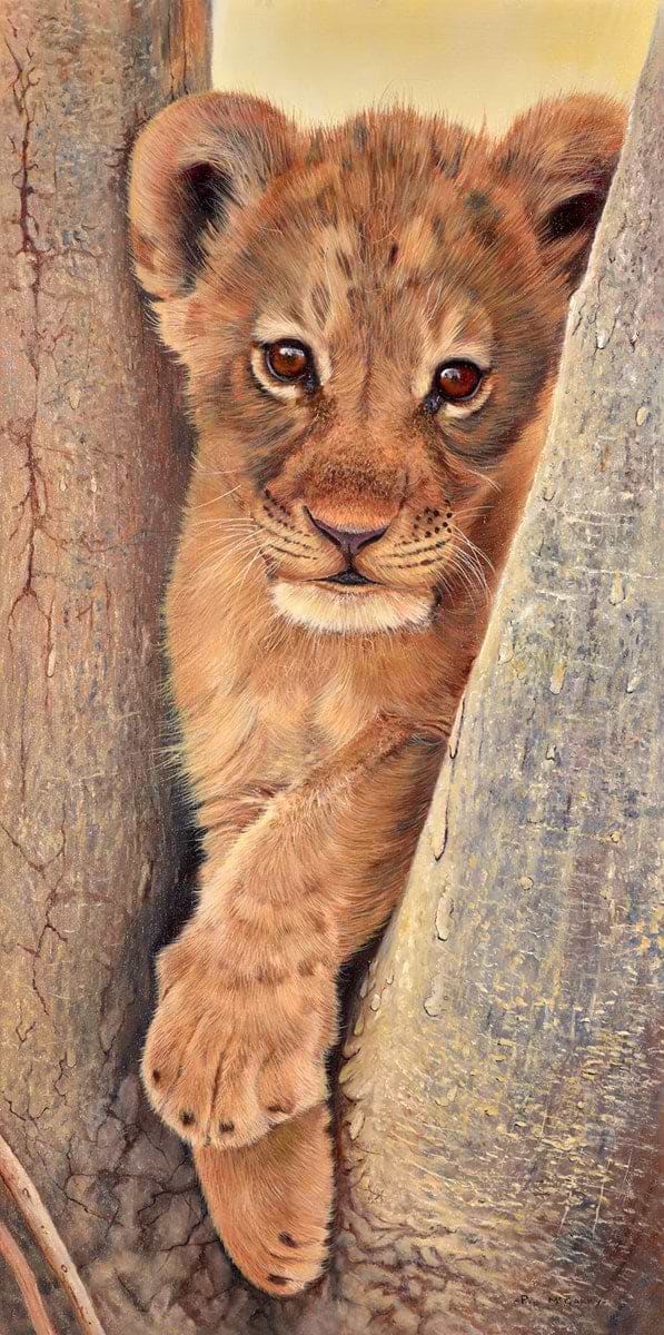 Lion Cub