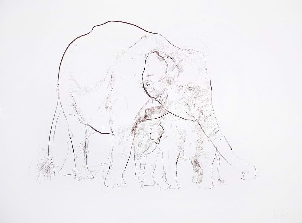 Elephant and Calf III