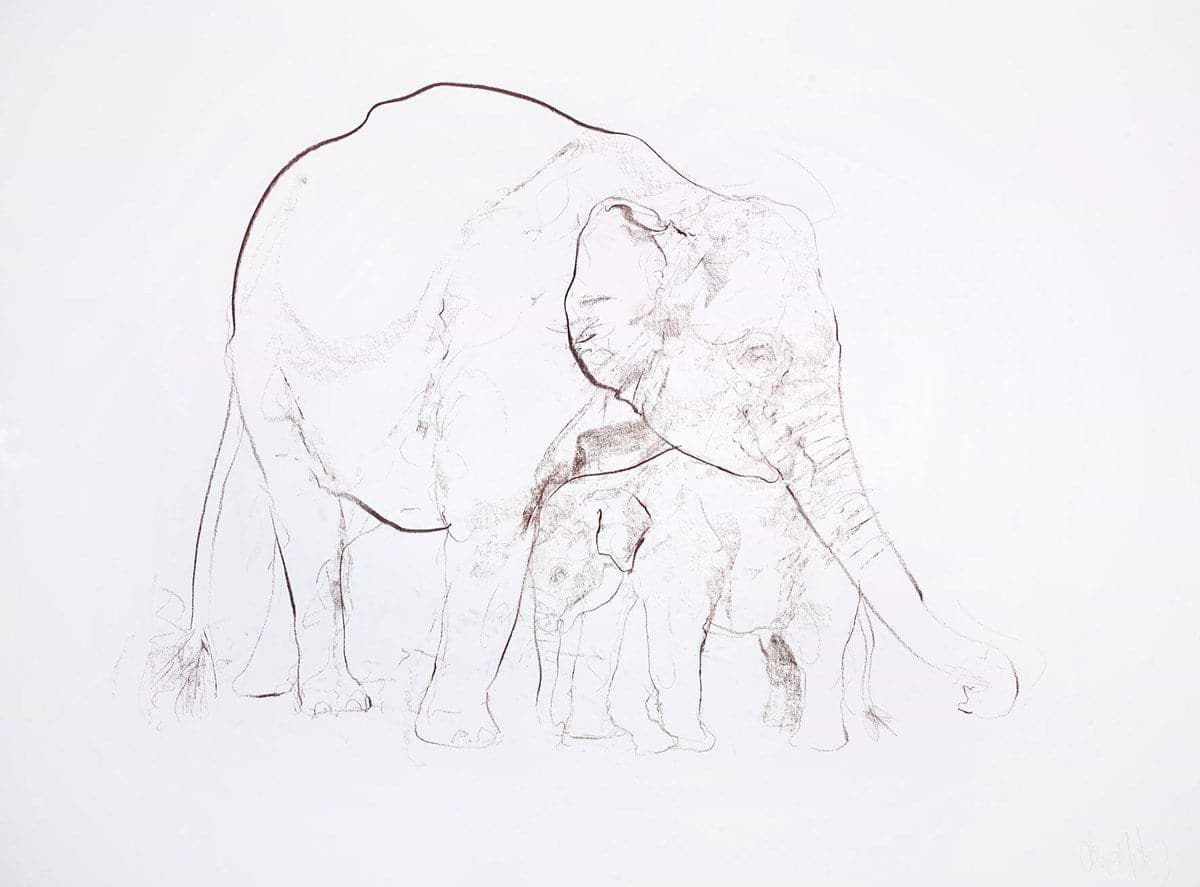 Elephant and Calf III